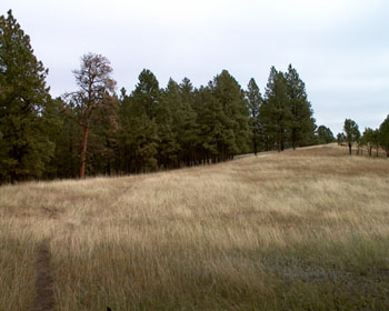 Kinda like some of the trails in Boulder.