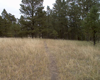 Colorado or Wyoming?  It's hard to tell.