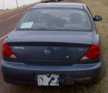 Sweet Licence Plate.  Where can I get one?
